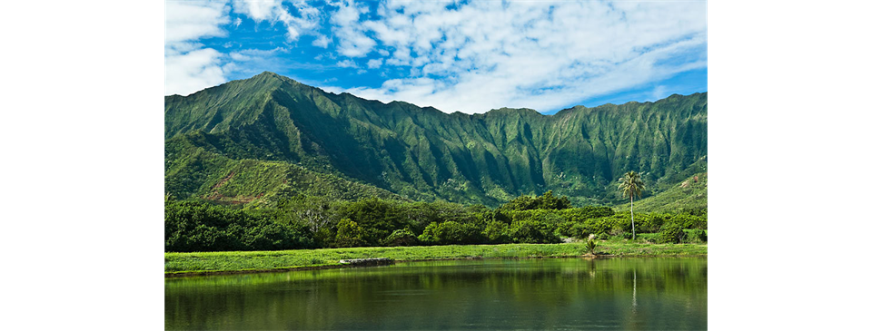 Home of Kahalu'u Little League