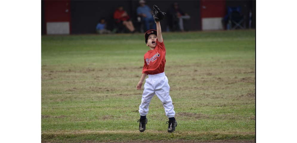 Coach pitch, Minors, Majors Juniors - registration is OPEN